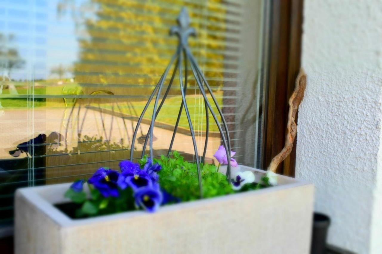 Ferienwohnung Juedel Mit Saunanutzung Beierfeld Esterno foto